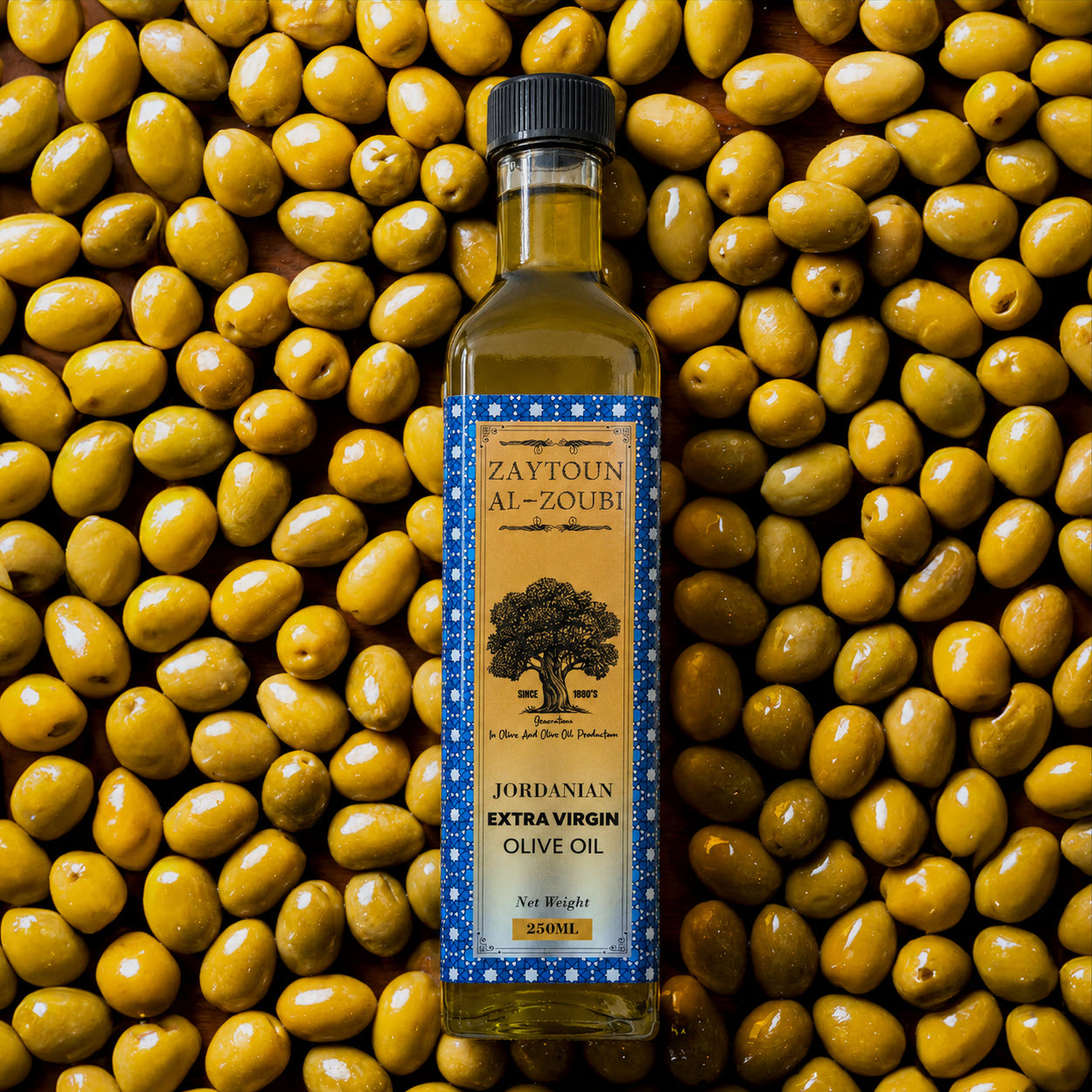 olive oil in sri lanka
